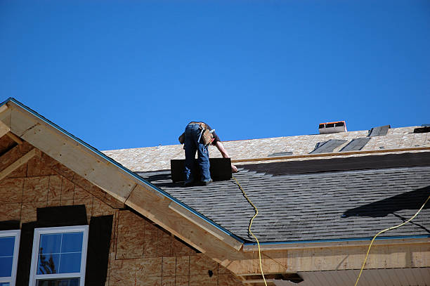Best Roof Gutter Cleaning  in Manchester, IA