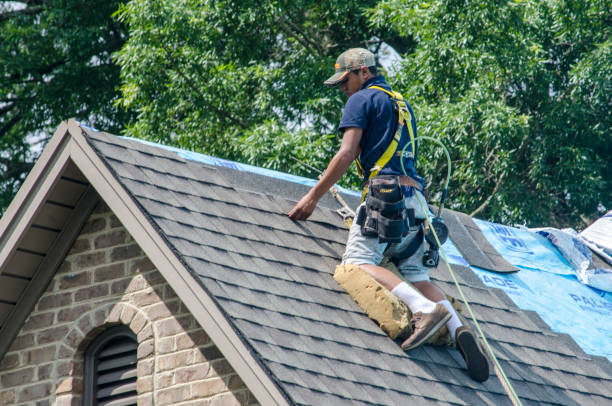 Best Best Roofing Contractors  in Manchester, IA